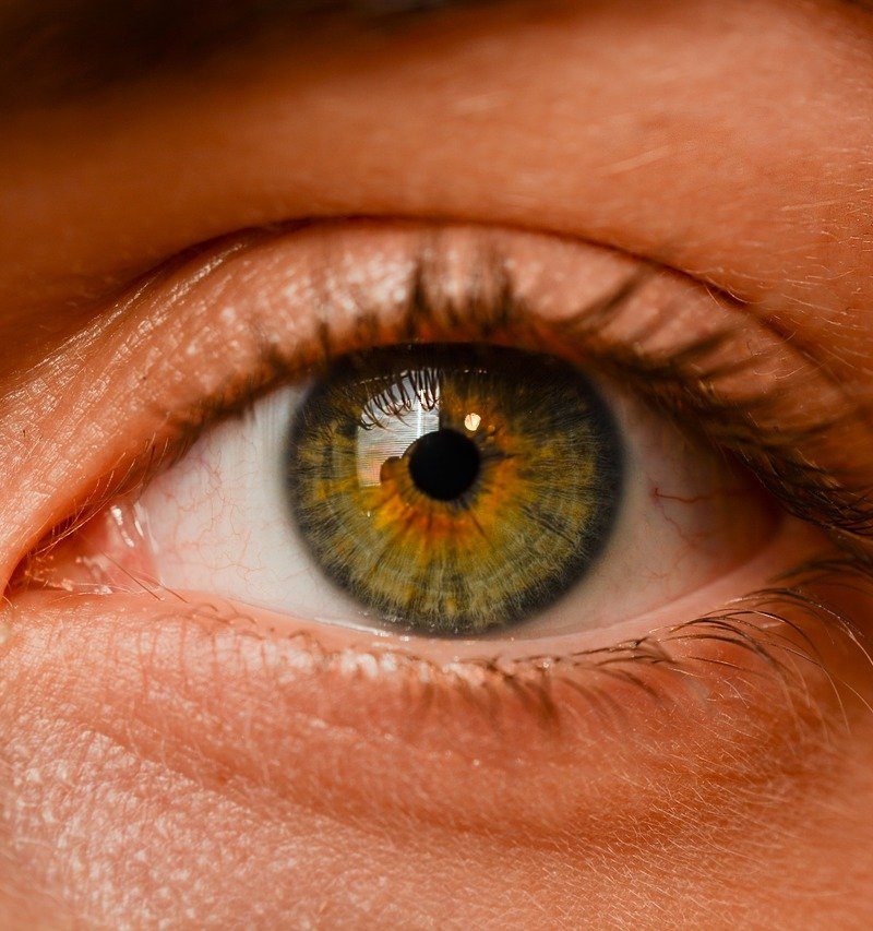 Oczy to charakterystyczny organ. To właśnie dzięki nim widzimy.